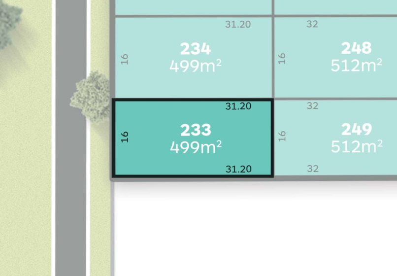 Lot 233