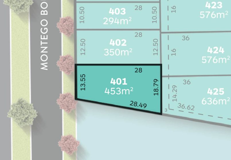 Lot 401